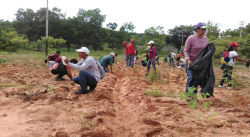MÁS DE 4800 ÁRBOLES FRUTALES Y FORESTALES HAN SIDO SEMBRADOS EN PUERTO AYACUCHO