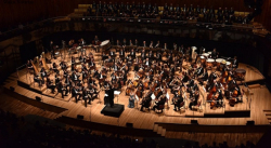 ORQUESTA DE LA DIÁSPORA VENEZOLANA EN EEUU GANA IMPORTANTE RECONOCIMIENTO