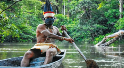 CONFIRMADOS 434 CASOS EN EL ESTADO AMAZONAS
