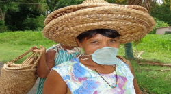 EL COVID-19 IMPACTA EL INGRESO Y LA SEGURIDAD ALIMENTARIA DE LOS WARAOS EN EL DELTA