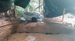 DESMANTELAN UN CAMPAMENTO EN EL QUE SE PROCESABAN SUSTANCIAS ILÍCITAS CERCA DE COLOMBIA