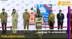 CNE APRUEBA SEGUNDO SIMULACRO ELECTORAL PARA EL DOMINGO 15 DE NOVIEMBRE
