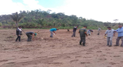 PUEBLO ORGANIZADO DEL MUNICIPIO ATURES SE ACTIVA CON PLAN DE SIEMBRA