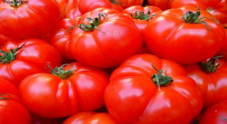 CONSUMIR MAYOR CANTIDAD DE TOMATES DISMINUYE LA HIPERTENSIÓN