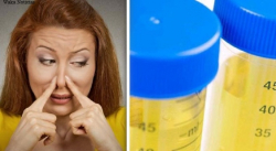 ¿TU ORINA HUELE MAL? PODRÍAS PADECER UNA DE ESTAS ENFERMEDADES