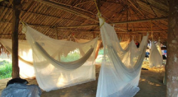 DESDE HACE DOS AÑOS NO LLEGAN MEDICINAS A COMUNIDAD JIVI DE RUEDA