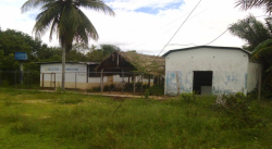 SIN AMBULATORIOS, SIN MÉDICOS Y SIN MEDICINAS LAS COMUNIDADES INDÍGENAS DEL MUNICIPIO AUTANA