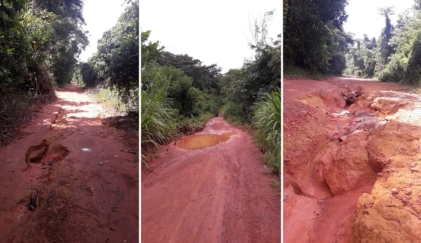 Carretera_vía_Gavilán_5.jpg