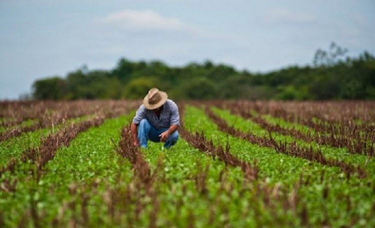 XXAgricultura-en-VzlaXX.jpg